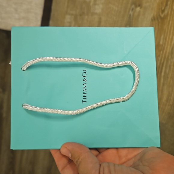 Tiffany & Co. Other - Tiffany Bag